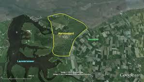 Marnewaard