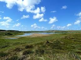 De Helderse Duinen