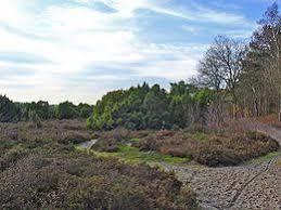 Terhorsterzand