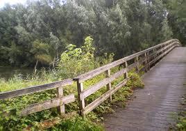 Harderbos