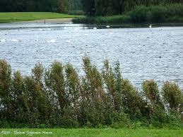 Stompaardse Plas