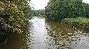 Spaarnwoude/houtrak