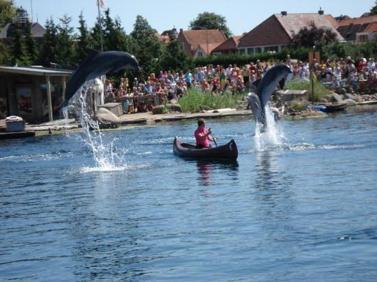 Dolfinarium Harderwijk